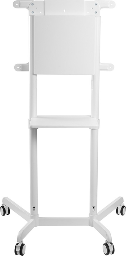Soporte de ruedas + superficie Neomounts (4)