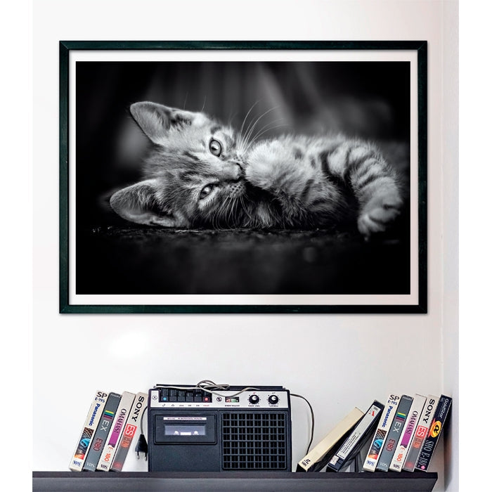 Clementoni High Quality Collection 39950 puzzle Puzzle rompecabezas 1000 pieza(s) Animales (3)
