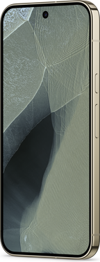 Google Pixel 11 Pro XL 5G 12/256 GB Oliva (5)