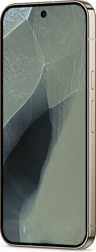 Google Pixel 11 Pro XL 5G 12/256 GB Oliva (5)