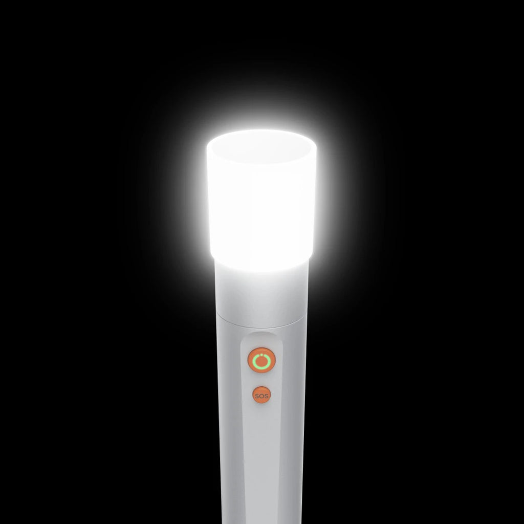 Hama FL350-C Plata Linterna de mano LED (9)