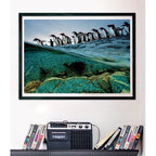Clementoni Penguins Puzzle rompecabezas 1000 pieza(s) Animales (3)