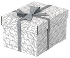 Esselte 628280 archivador organizador Caja de cartón Blanco (3)