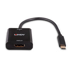 Lindy 43269 Adaptador gráfico USB 3840 x 2160 Pixeles Negro (3)