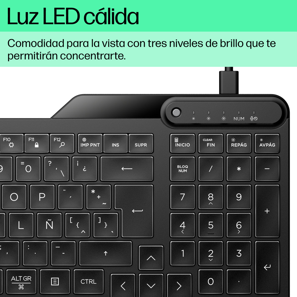HP 400 Backlit Wired Keyboard teclado Hogar USB Negro (7)
