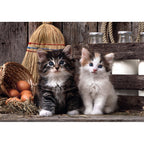 Clementoni High Quality Collection 39943 puzzle Puzzle rompecabezas 1000 pieza(s) Animales (2)
