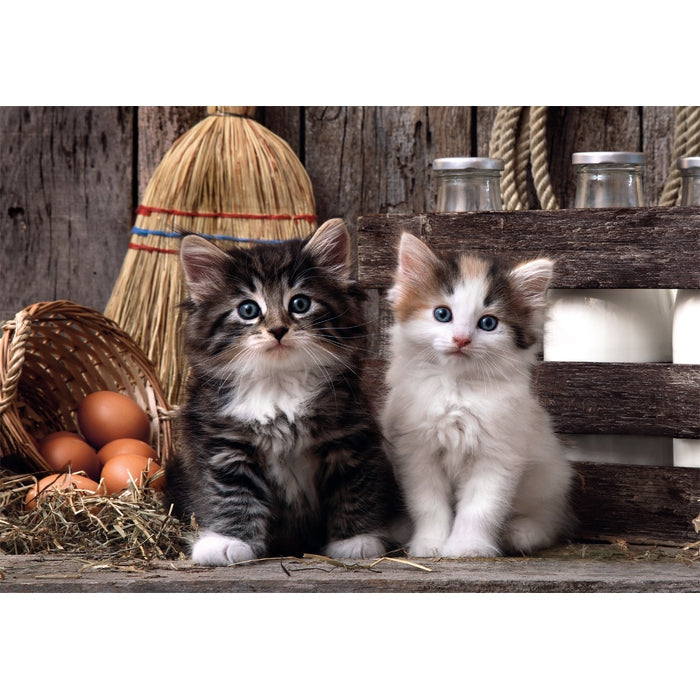 Clementoni High Quality Collection 39943 puzzle Puzzle rompecabezas 1000 pieza(s) Animales (2)