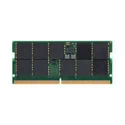Kingston Server Premier, DDR5, módulo, 16GB (KSM56T46BS8KM-16HA)
