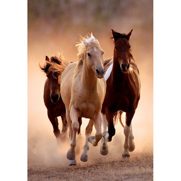 Clementoni Running Horses Puzzle rompecabezas 1000 pieza(s) Animales (2)