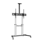 AISENS FT100TE-259 soporte para TV 2,54 m (100") Negro, Plata (2)