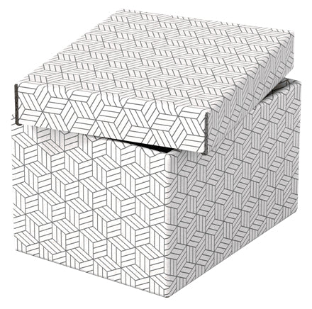 Esselte 628280 archivador organizador Caja de cartón Blanco (2)