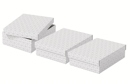 Esselte 628284 archivador organizador Caja de cartón Blanco