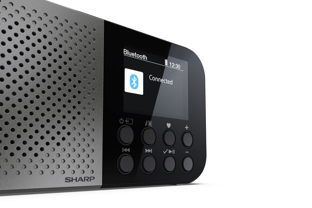 Sharp DR-P520 Personal Digital Gris (5)