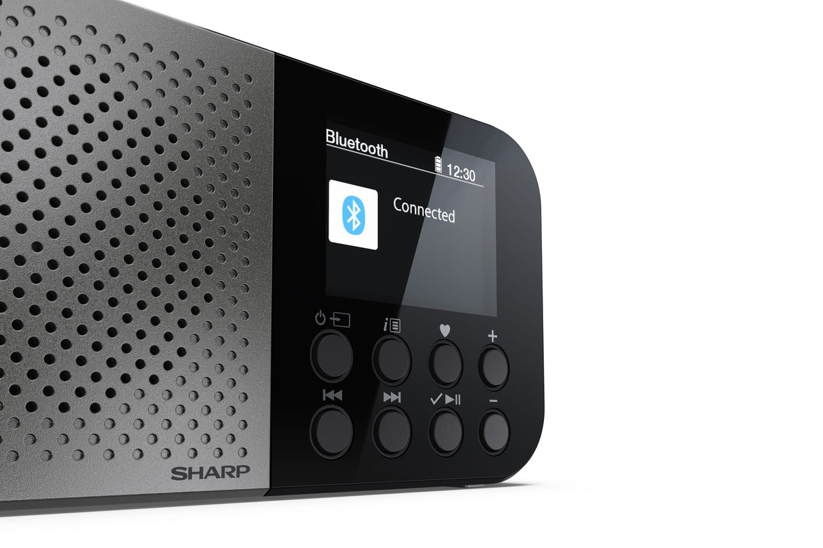 Sharp DR-P520 Personal Digital Gris (5)
