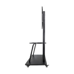 TooQ Coloso 2,54 m (100") Negro (5)