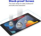 Protector ARTICONA Premium iPad 10,2 (2)