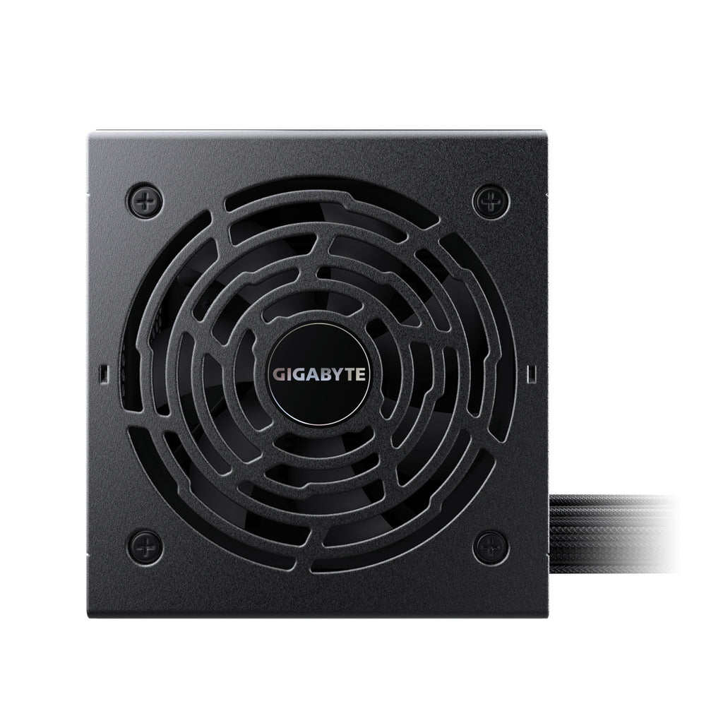 GIGABYTE P750BS unidad de fuente de alimentación 750 W 20+4 pin ATX Negro (4)