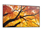 Sharp MultiSync PN-M982 Panel plano interactivo 2,48 m (97.5") LED 550 cd / m² 4K Ultra HD Negro 24/7 (4)