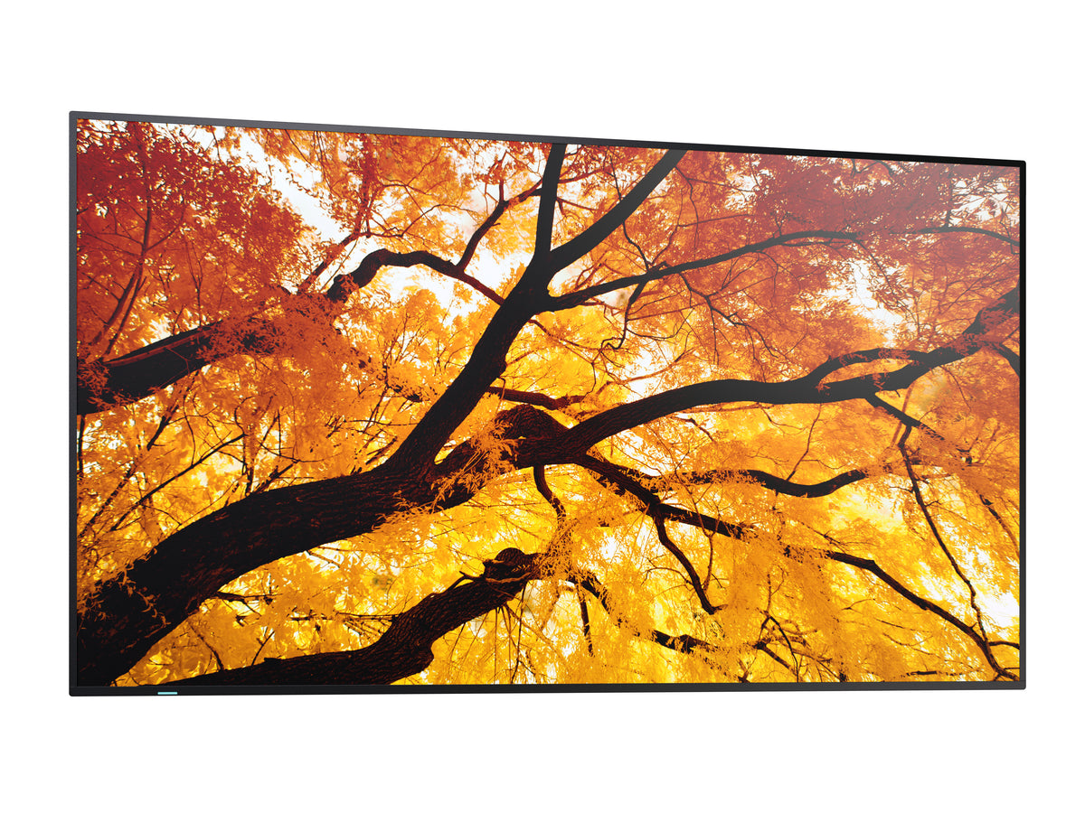 Sharp MultiSync PN-M982 Panel plano interactivo 2,48 m (97.5") LED 550 cd / m² 4K Ultra HD Negro 24/7 (4)