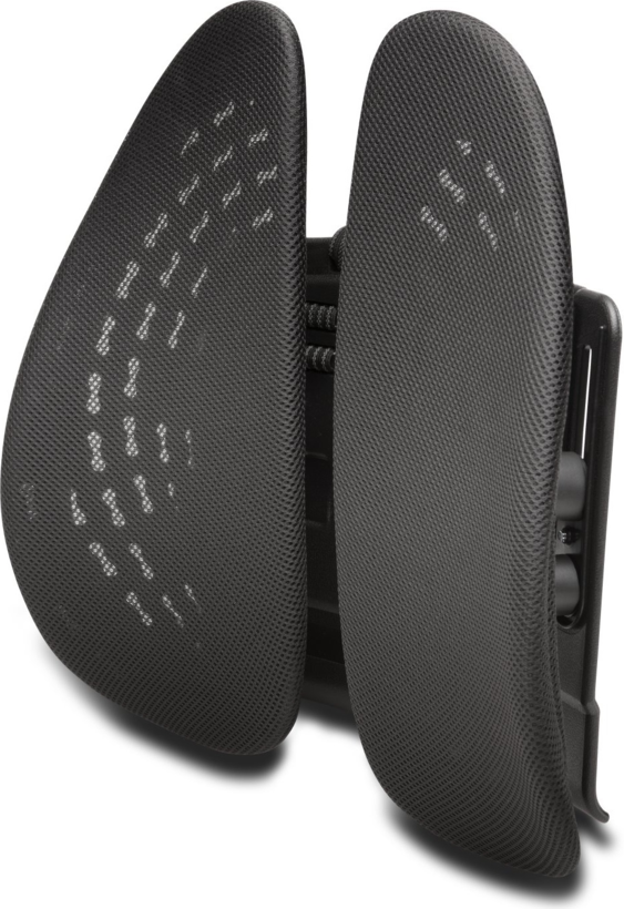 Kensington SmartFit Back Rest K60412WW