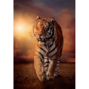 Clementoni Tiger Puzzle rompecabezas 1000 pieza(s) Animales (2)