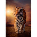 Clementoni Tiger Puzzle rompecabezas 1000 pieza(s) Animales (2)