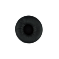 Epos HZP 25 DW 10 Earpad, DW office 1000723