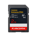 Sandisk SDSDXDE-2T00-GN4IN - Tarjeta de memoria flash, 2 TB, Video Class V90