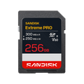 Sandisk SDSDXEM-256G-GN4IN - Tarjeta de memoria flash, 256 GB, Video Class V60