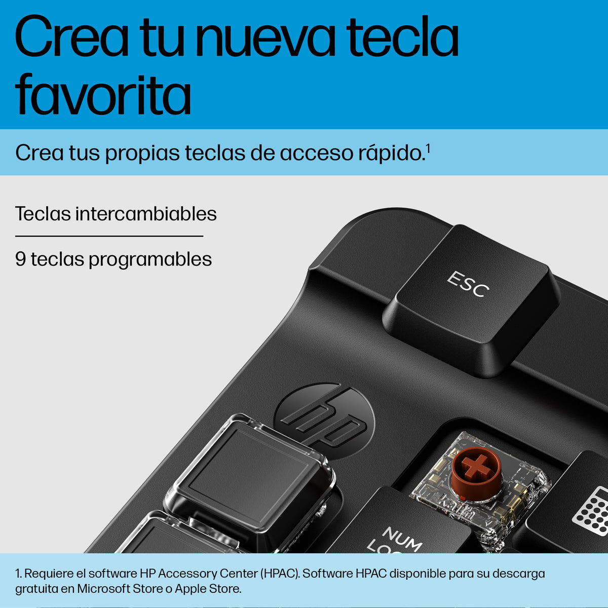 HP 435 Programmable Bluetooth Wireless Keypad teclado numérico Negro (5)