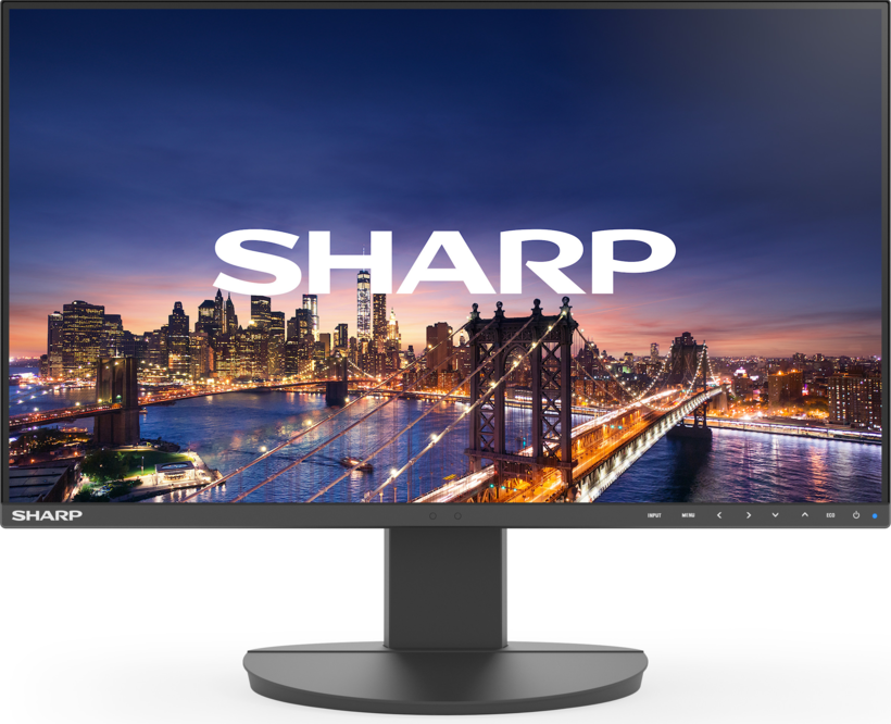 Monitor Sharp MultiSync EA242F DDEA242F