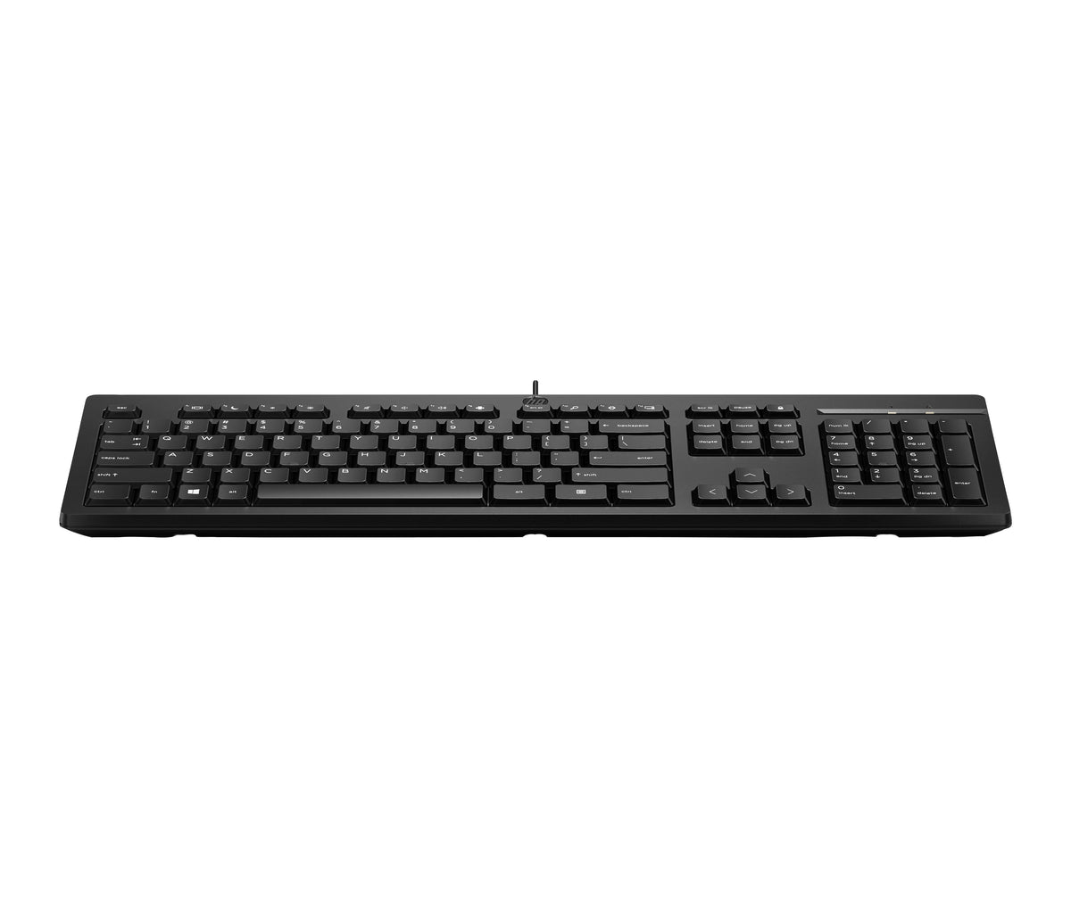 HP 125 USB Wired Keyboard teclado Negro (9)