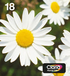 Epson Daisy C13T18064511 cartucho de tinta 1 pieza(s) Original Rendimiento estándar Negro, Cian, Magenta, Amarillo (2)