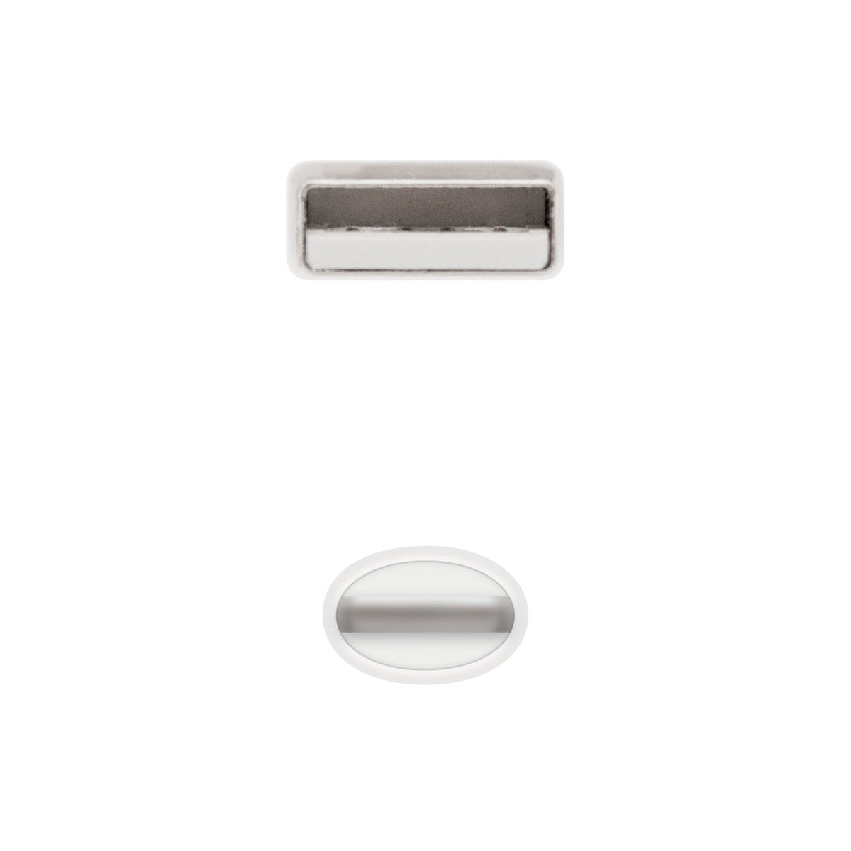 Nanocable 10.10.0402 cable de conector Lightning 2 m Blanco (4)