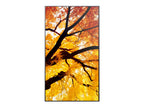 Nec 60006054 - 50" Clase diagonal