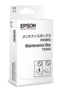 Epson C13T295000 - Colector de tinta usada, para WorkForce WF-100, WF-100W