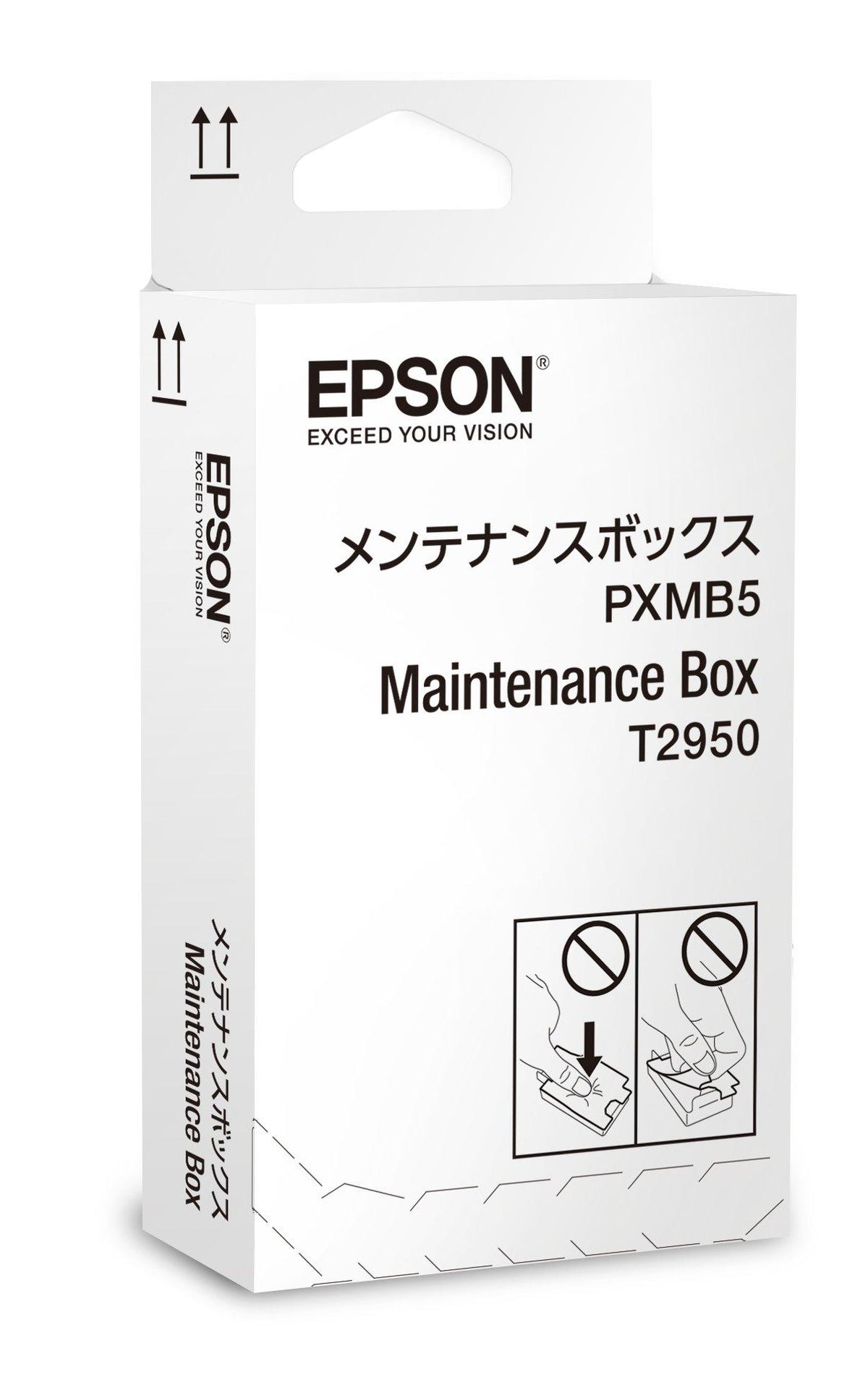 Epson C13T295000 - Colector de tinta usada, para WorkForce WF-100, WF-100W