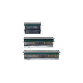 TSC Printhead, 8 Dots/mm (203dpi), MX241P