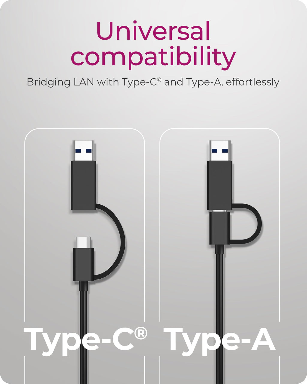 Raidsonic ICY BOX IB-LAN301-C3 USB Typ