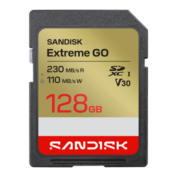 Sandisk SDSDXGN-128G-GNCIN - Tarjeta de memoria flash, 128 GB, Video Class V30